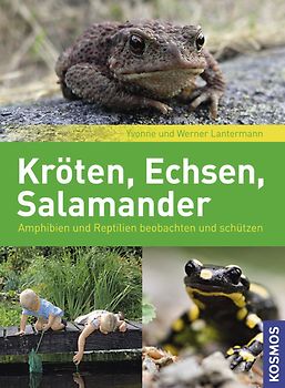 Kröten, Echsen, Salamander