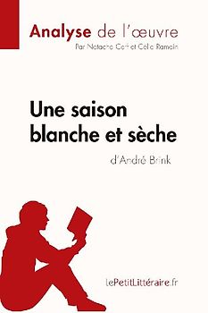 Une saison blanche et sèche d'André Brink (Analyse de l'oeuvre)