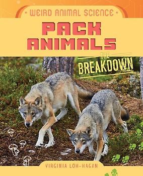 Pack Animals