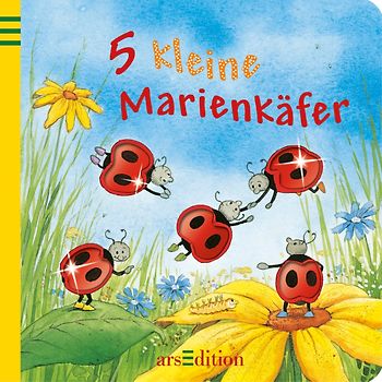 5 kleine Marienkäfer