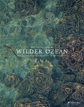Wilder Ozean