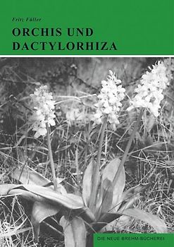 Orchis und Dactylorhiza