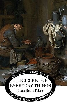 The Secret of Everyday Things