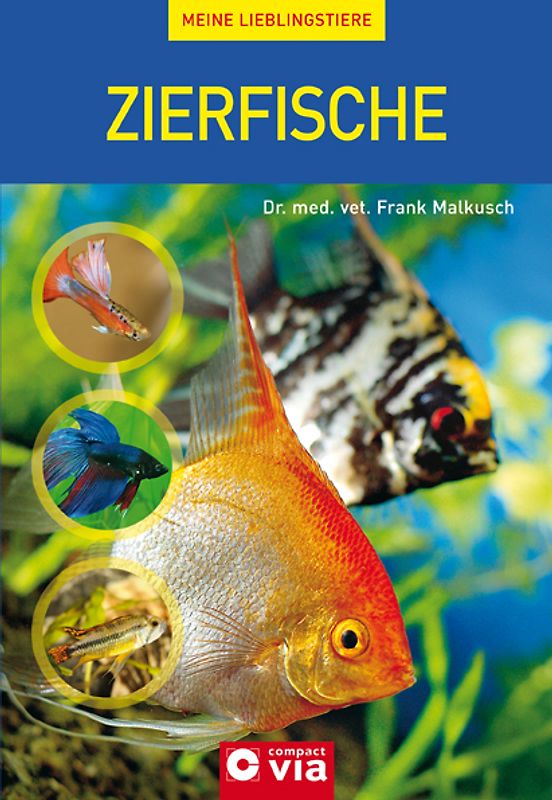 Zierfisch
