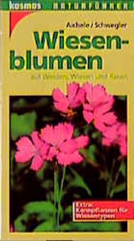 Wiesenblumen. Auf Rasen, Wiesen und Weiden