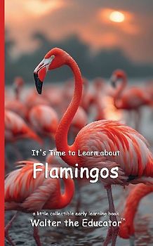 It's Time to Learn about Flamingos