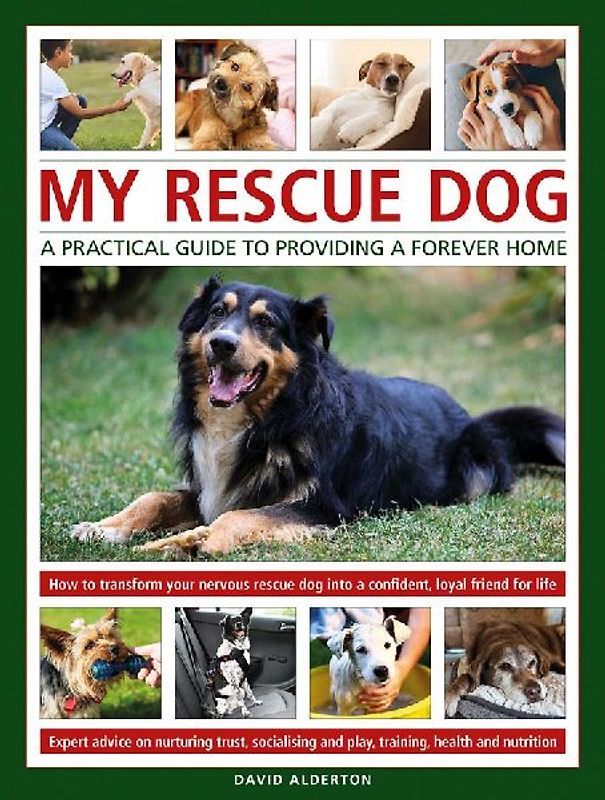 My Rescue Dog: A practical guide to providing a forever home