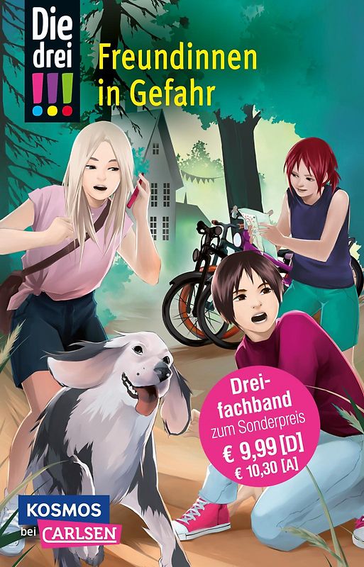 Die drei !!! 50: Freundinnen in Gefahr