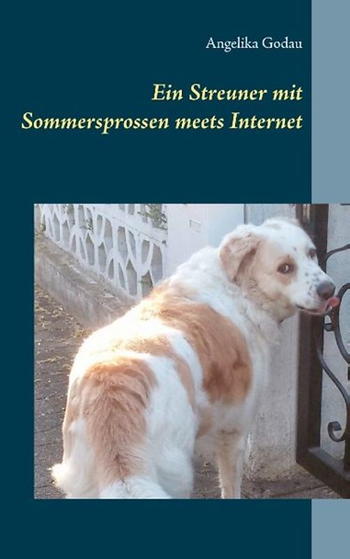 Ein Streuner mit Sommersprossen meets Internet