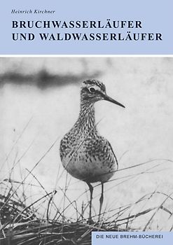 Bruchwasserläufer und Waldwasserläufer