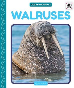 Walruses