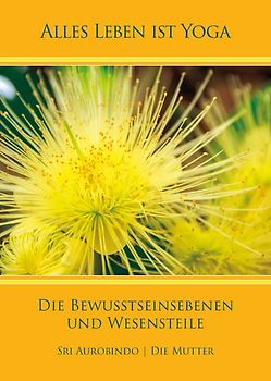 Die Bewusstseinsebenen und Wesensteile