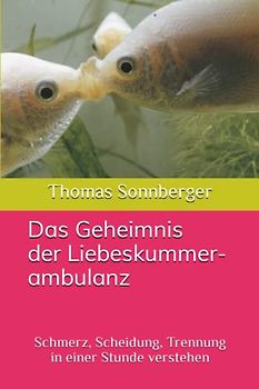 Das Geheimnis der Liebeskummerambulanz: Schmerz, Scheidung, Trennung in einer Stunde verstehen