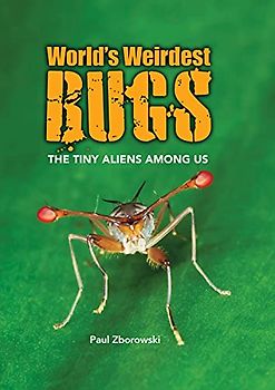 World's Weirdest Bugs: The Tiny Aliens Among Us