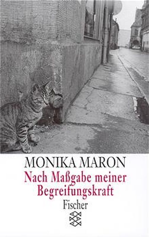 Nach Maßgabe meiner Begreifungskraft