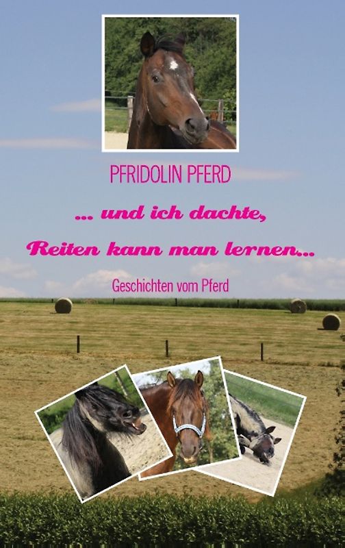 ... und ich dachte, Reiten kann man lernen...