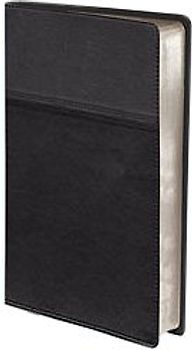 Thinline Bible-NIV [Hardcover]