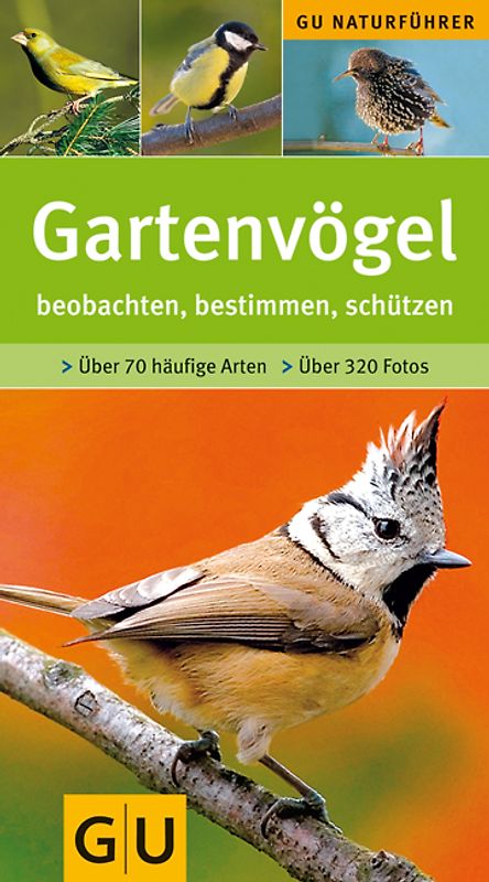 Gartenvögel