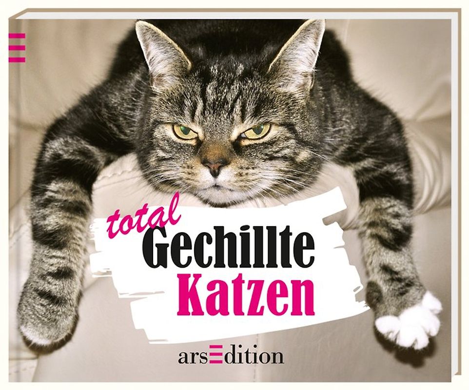 Total Gechillte Katzen