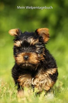 Mein Welpentagebuch: die ersten Monate mit meinem Yorkshire Terrier
