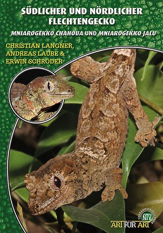 Südlicher und Nördlicher Flechtengecko