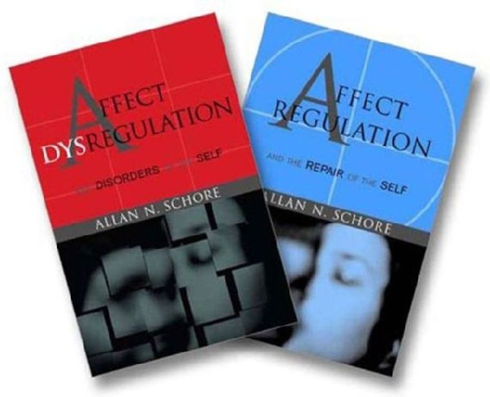 Affect Regulation and the Repair of the Self & Affect Dysregulation and Disorders of the Self Two-Book Set