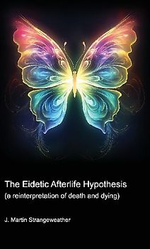 The Eidetic Afterlife Hypothesis (a reinterpretation of death and dying)