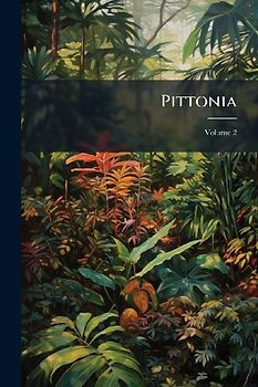 Pittonia