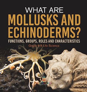 What are Mollusks and Echinoderms? Functions, Groups, Roles and Characteristics | Grade 6-8 Life Science