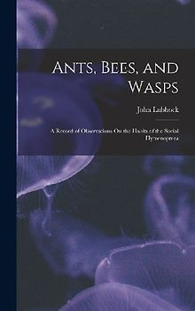 Ants, Bees, and Wasps