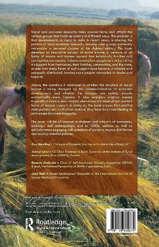 Social Income and Insecurity