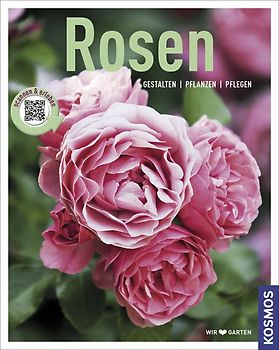 Rosen (Mein Garten)