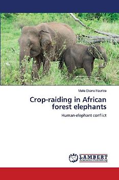 Crop-raiding in African forest elephants