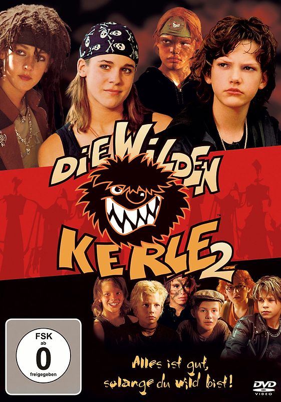 Die wilden Kerle 2 DVD