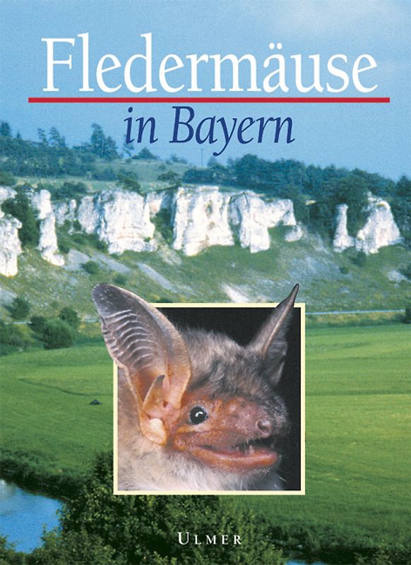 Fledermäuse in Bayern
