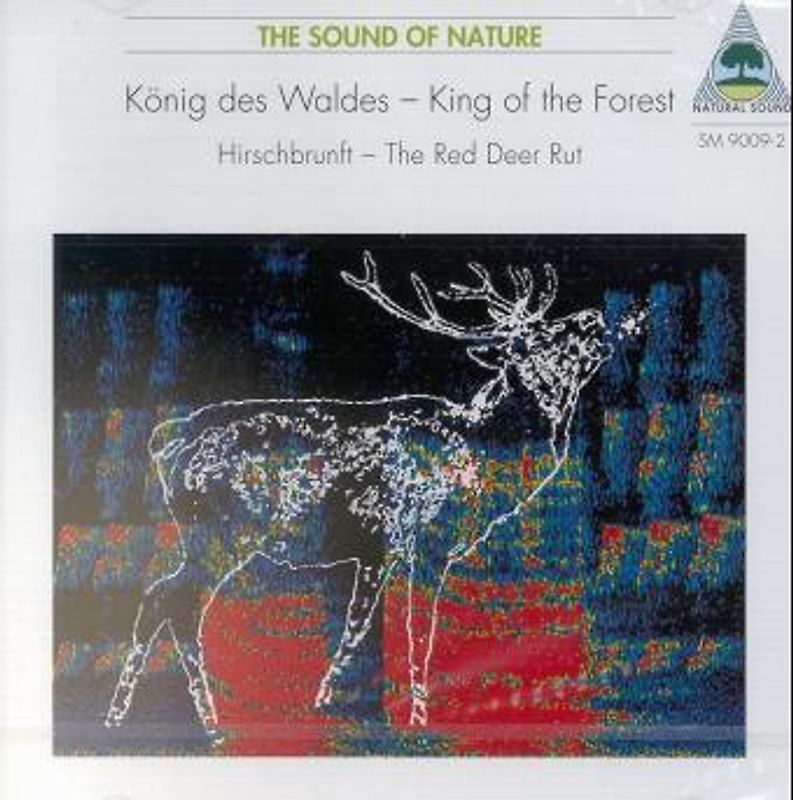 König des Waldes - Hirschbrunft