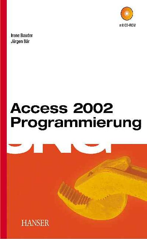 Access 2002 Programmierung