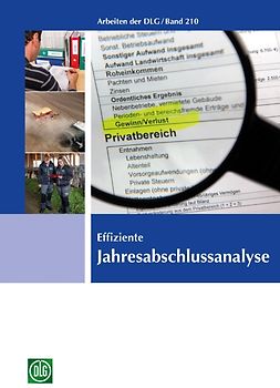 Effiziente Jahresabschlussanalyse