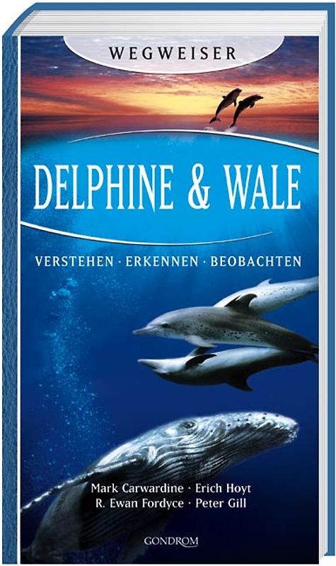 Delphine & Wale