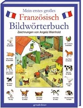 Mein erstes grosses Französisch-Bildwörterbuch