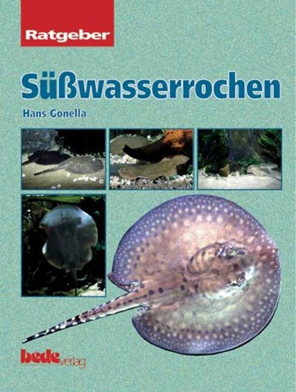 Ratgeber Süsswasserrochen