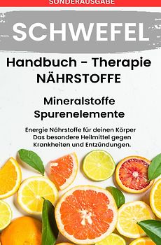 SCHWEFEL- NÄHRSTOFFE BOOST Handbuch - Mineralstoffe und Spurenelemente - SONDERAUSGABE MIT 3 REZEPTE