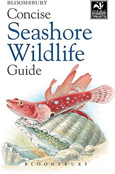 Concise Seashore Wildlife Guide
