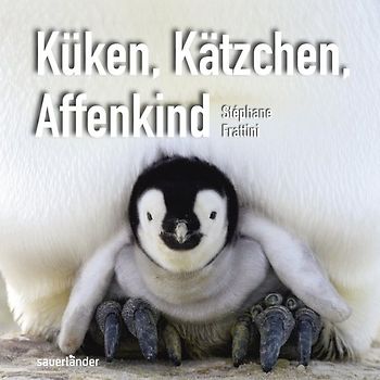 Küken, Kätzchen, Affenkind