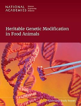 Heritable Genetic Modification in Food Animals