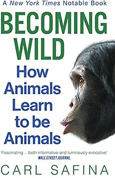 Becoming Wild: How Animals Learn to be Animals