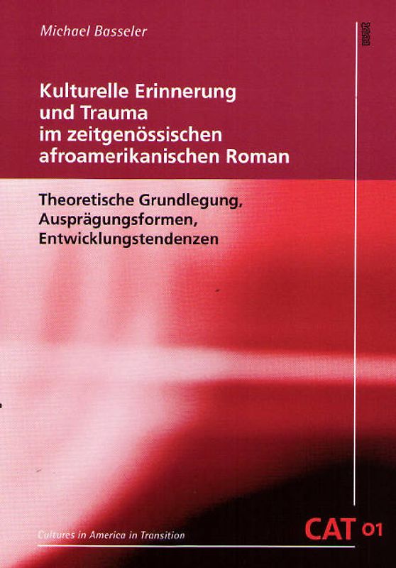 Kulturelle Erinnerung und Trauma im zeitgenössischen afroamerikanischen Roman