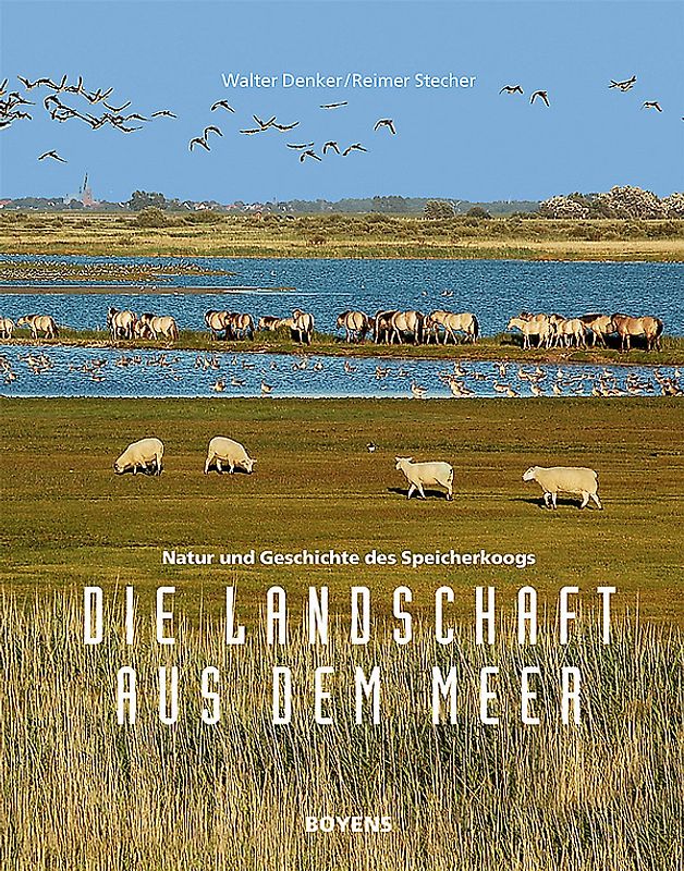 Die Landschaft aus dem Meer