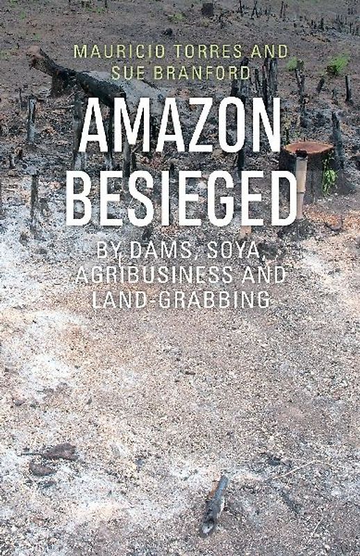 Amazon Besieged