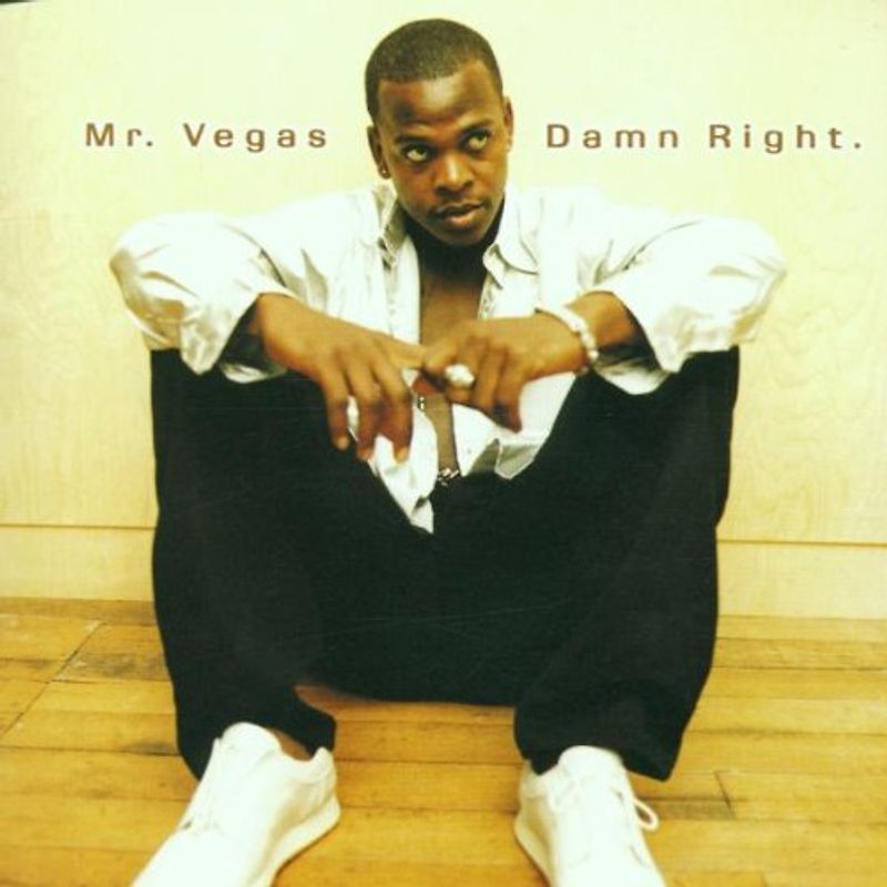 Mr.Vegas - Damn Right
